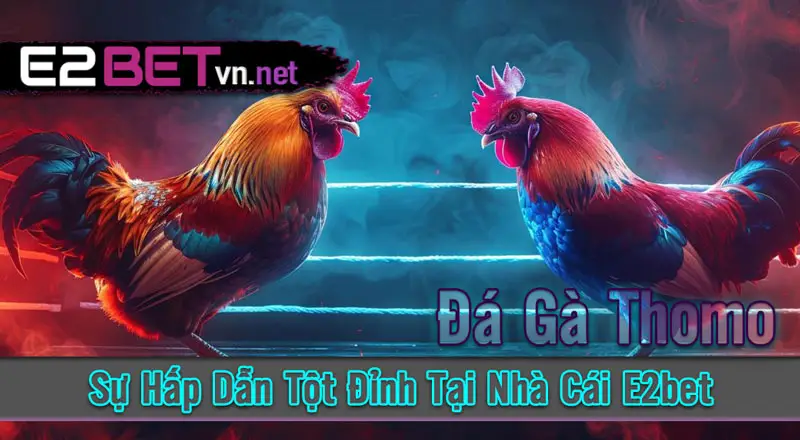 Lợi Ích khi tham gia Đá gà thomo tại e2bet