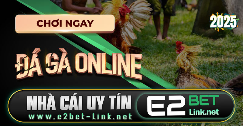 Những tiện lợi mà e2bet đem lại cho hình thức đá gà online