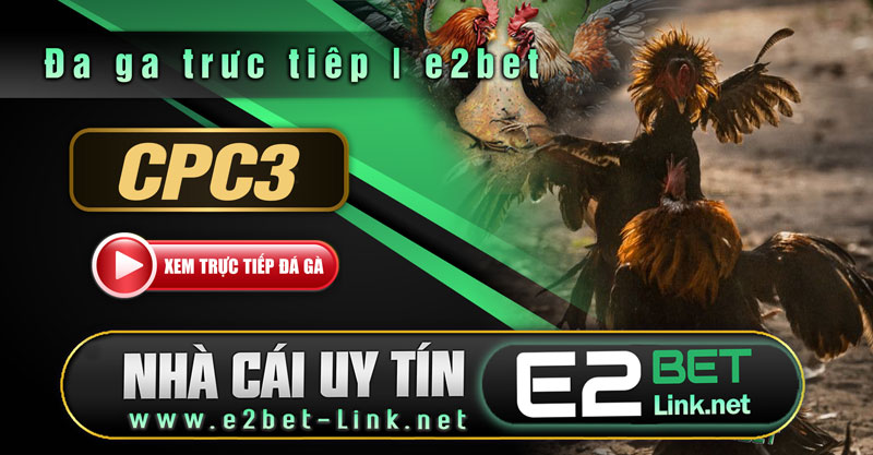 Bồ CPC3, CPC4, CPC5 trực tiếp hằng ngày phát sóng có bình luận viên tại E2bet